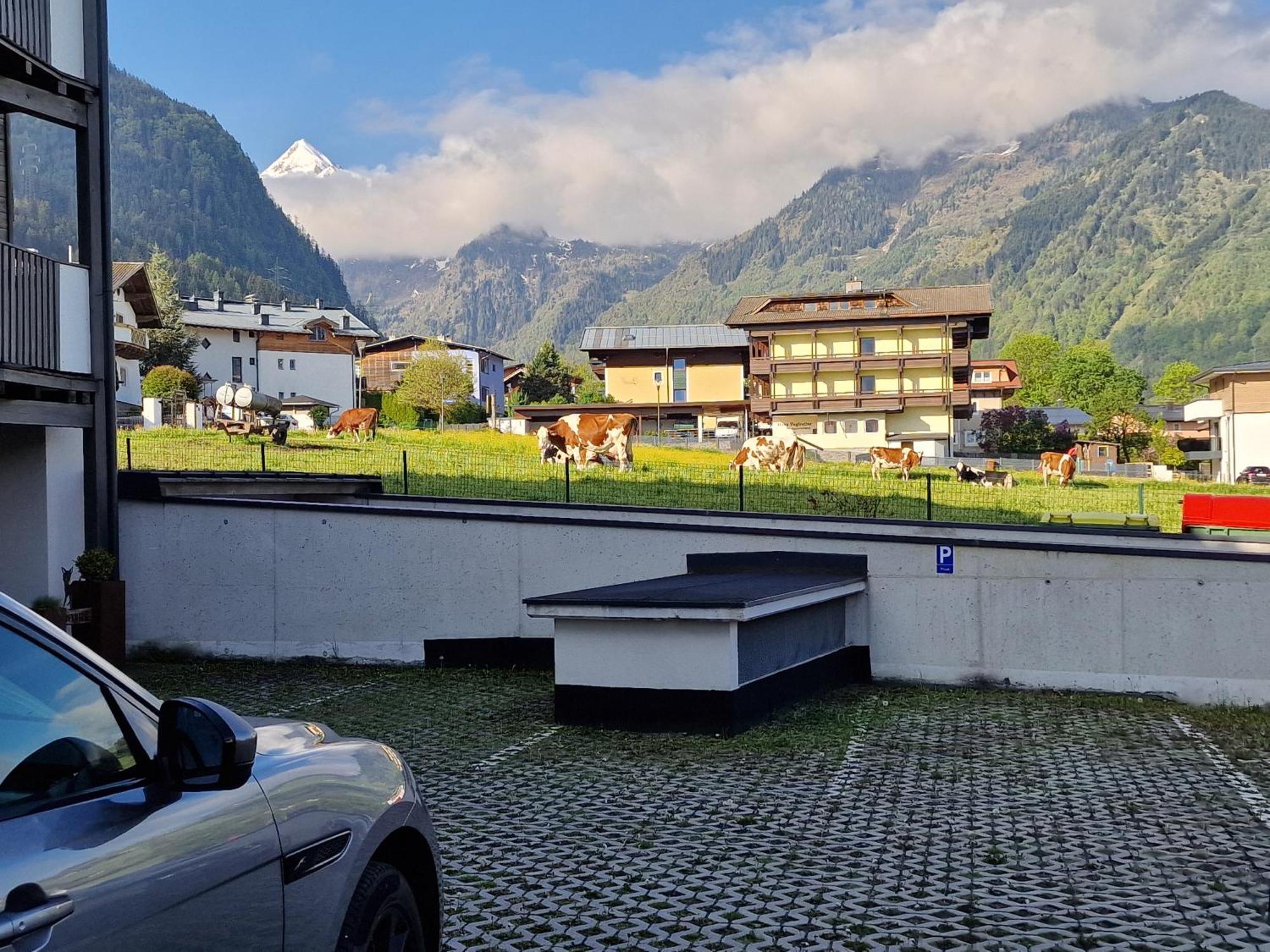 Adler Kaprun, Golf 'n' Ski&Mountain Biking. Apartment Bagian luar foto